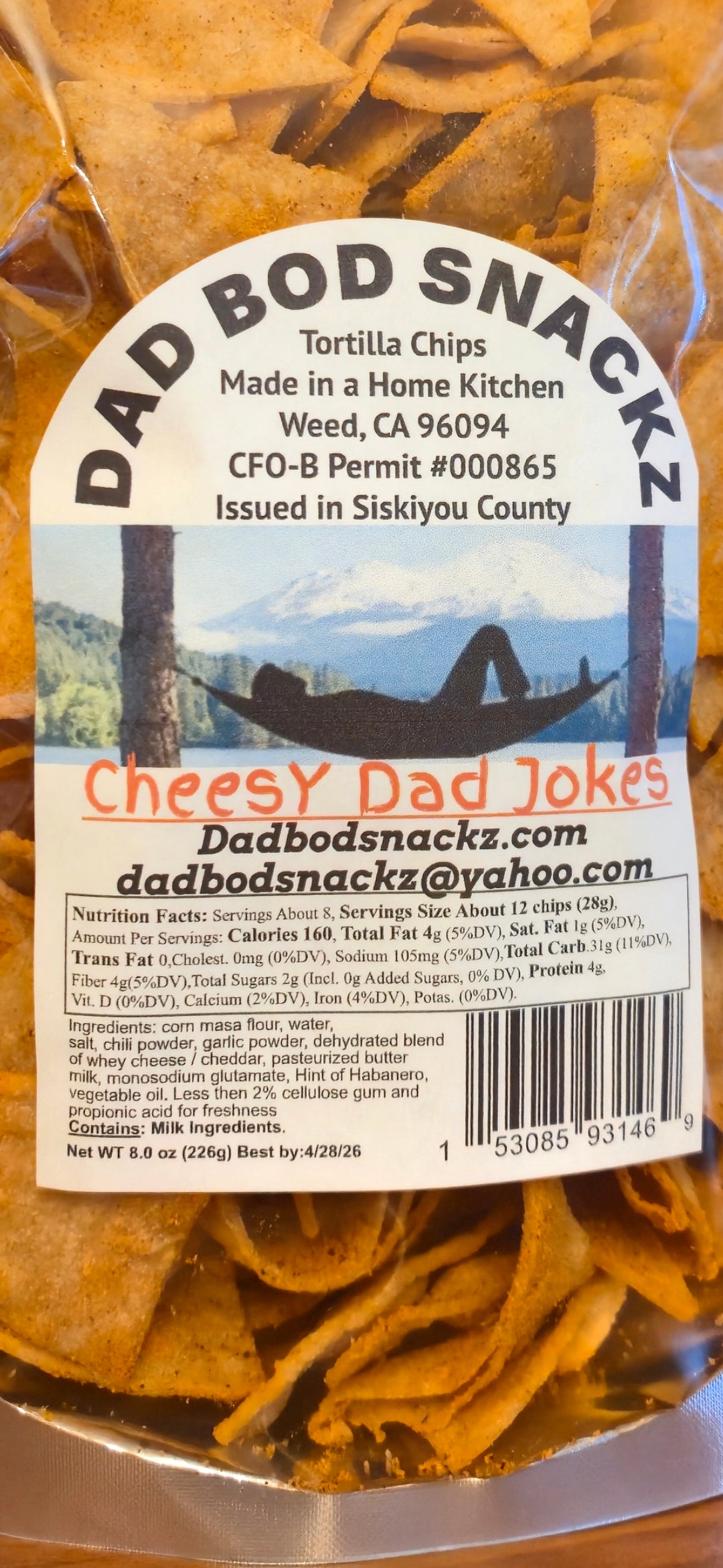 Cheesy Dad Jokes